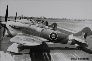 1944 Hawker Tempest